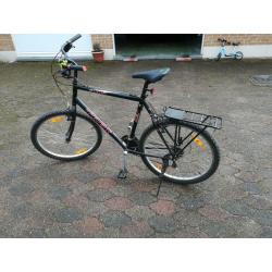 Vélo Trek homme