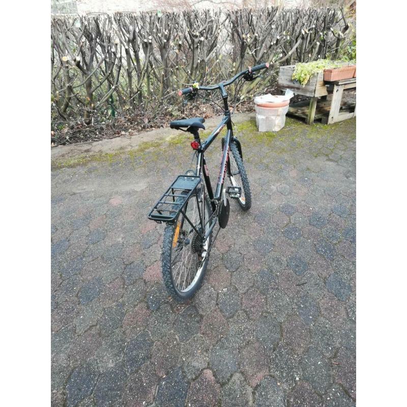 Vélo Trek homme