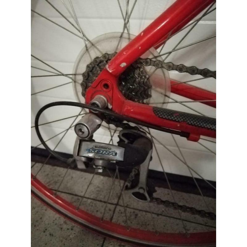 Koersfiets maat 44