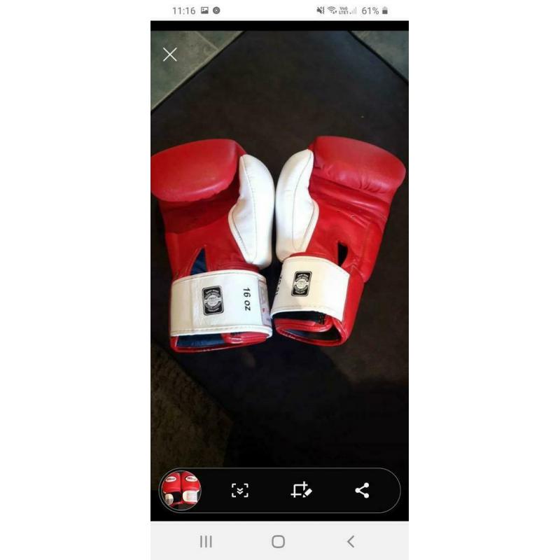 Gants boxe twins