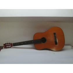 acoustische gitaar