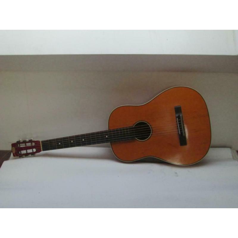 acoustische gitaar