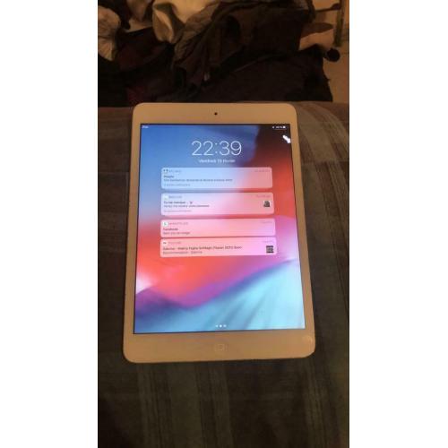 iPad mini en parfait état de fonction impeccable