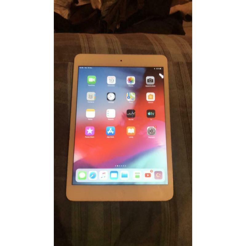 iPad mini en parfait état de fonction impeccable