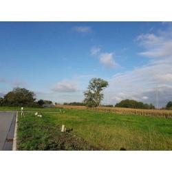 Huis te koop in Ardooie